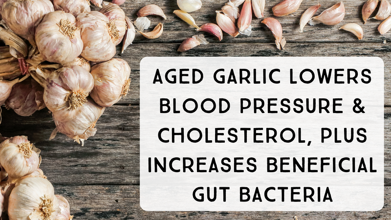 Aged Garlic Lowers Blood Pressure & Cholesterol, Plus Increases Beneficial Gut Bacteria