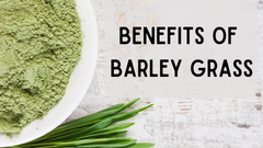 Benefits of Barley Grass