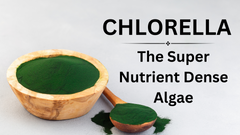 Chlorella - The Super Nutrient Dense Algae!!