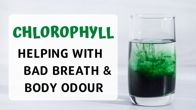 Chlorophyll Helping With Bad Breath And Body Odour