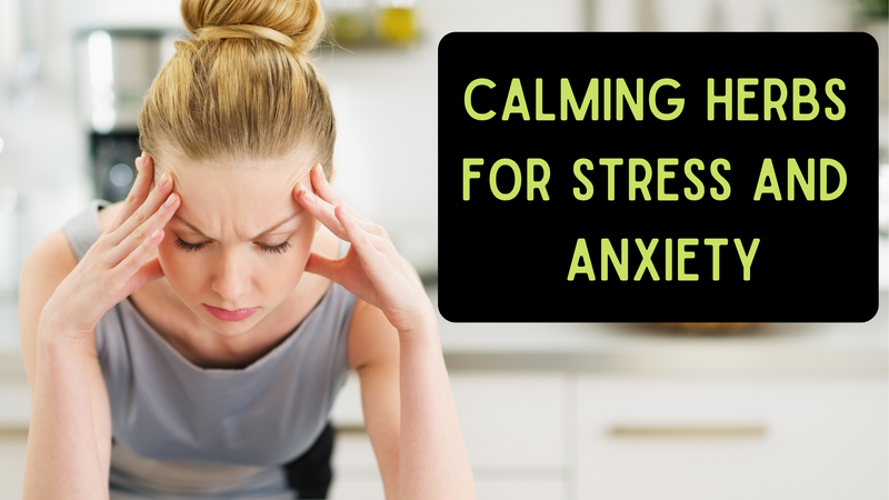 Calming Herbs For Stress and Anxiety