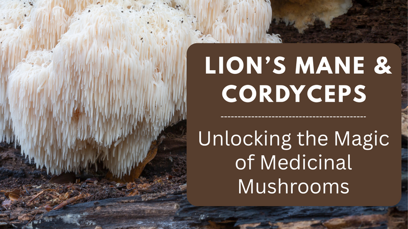 Lion’s Mane & Cordyceps: Unlocking the Magic of Medicinal Mushrooms