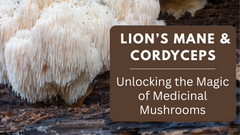 Lion’s Mane & Cordyceps: Unlocking the Magic of Medicinal Mushrooms