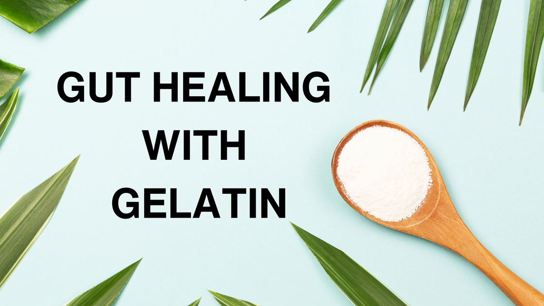 Gut Healing With Gelatin Go Vita Batemans Bay