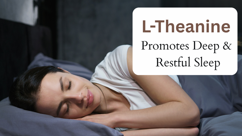 L-Theanine Promotes Deep And Restful Sleep