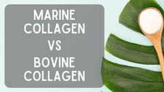 Marine Collagen Vs. Bovine Collagen