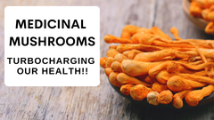 Medicinal Mushrooms Turbocharging Our Health!!