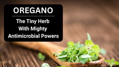 Oregano: The Tiny Herb with Mighty Antimicrobial Powers