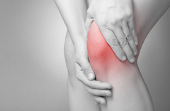 Gelatin Hydrolysed Collagen For Joint Pain