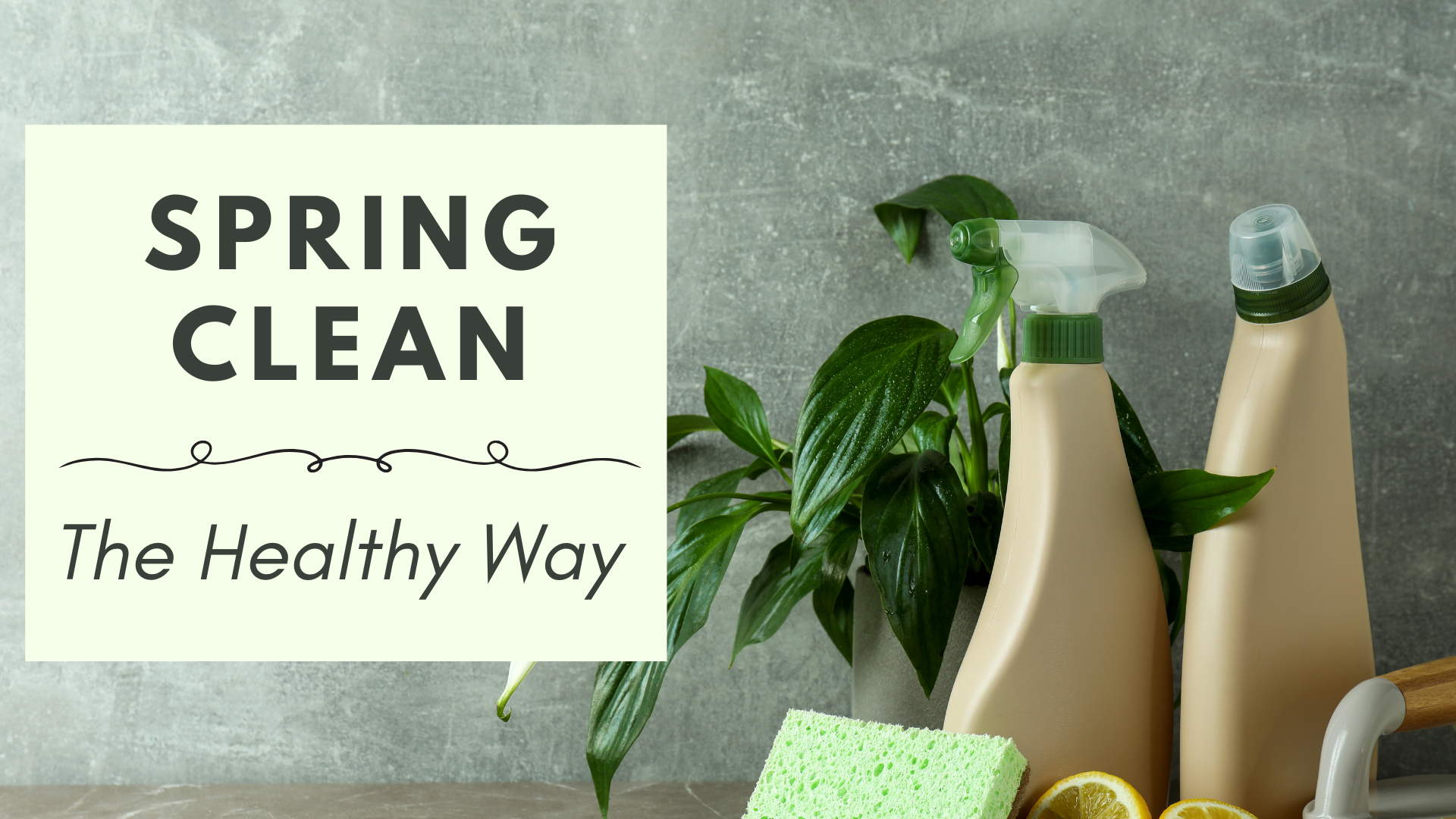 Popsa Spring Clean Spring Clean The Healthy Way | Go Vita Batemans Bay