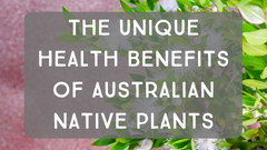The Unique Health Benefits of Australian Native Plants