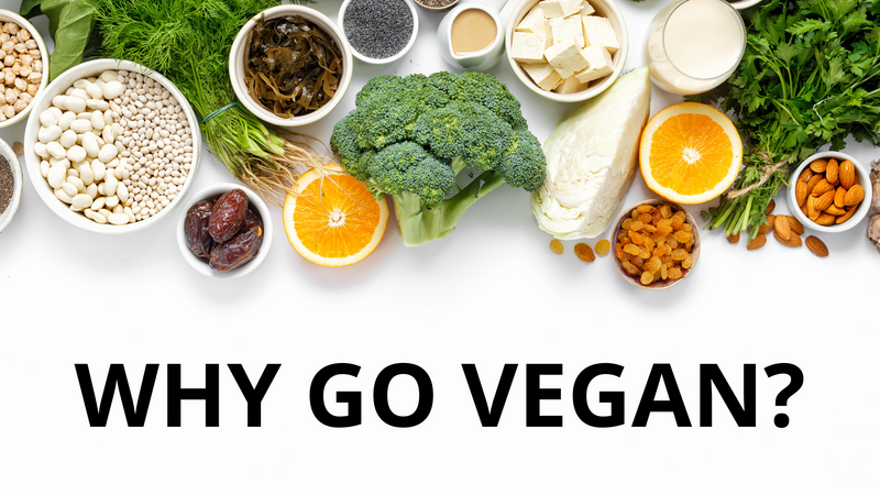 Why Go Vegan?