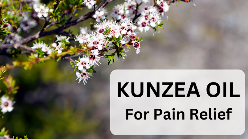 Psoriasis, Eczema & Dermatitis Relieved With Kunzea Oil