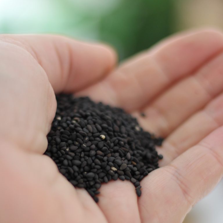 Gourmet Organic Herbs Black Sesame Seeds - Go Vita Batemans Bay