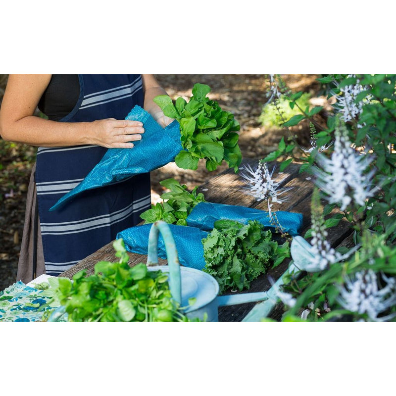 Honeybee Wrap Reusable Beeswax Wraps - Collection Pack - Go Vita Batemans Bay