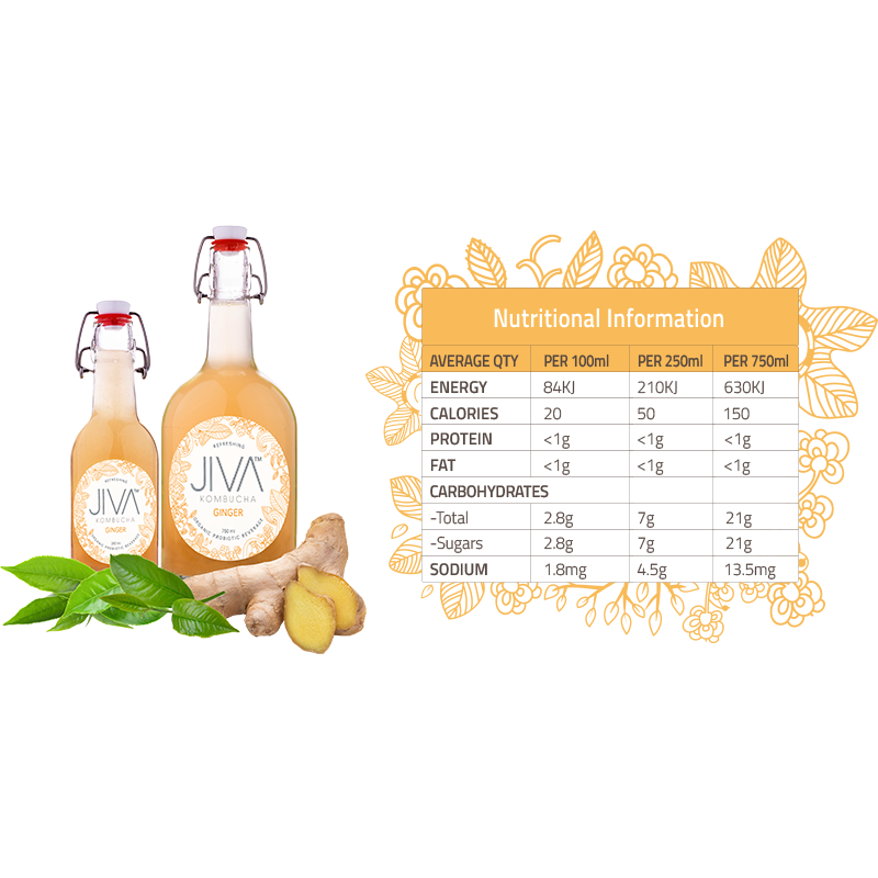 JIVA Ginger Juice-Style Kombucha