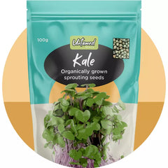 Untamed Health Kale Sprouting Seeds 100gm