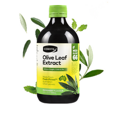 Comvita Olive Leaf Extract Peppermint - Go Vita Batemans Bay