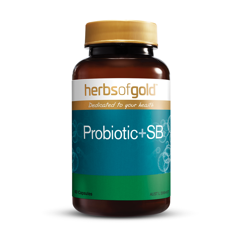 Herbs of Gold Probiotic + SB - Go Vita Batemans Bay
