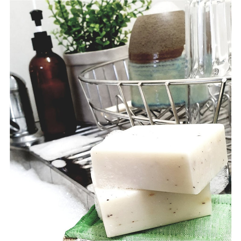 That Red House Plant Based Dishwashing Soap-Lemon Mytle