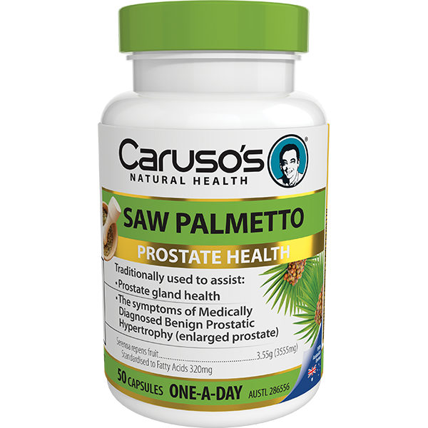 Caruso's Saw Palmetto - Go Vita Batemans Bay